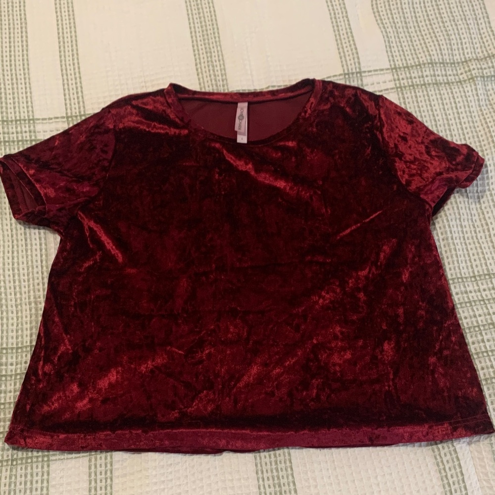 Luxurious Velvet Short Sleeve Top - Deep Red
